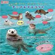 Toy Spirits Gashapon Really Float Plum Hakori Animal 5 Collection Figure Set For Cheap